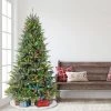 7.5ft Puleo Pre-Lit Full Fraser Fir Artificial Christmas Tree Clear Lights -Outlet Xmas Decor Tree Store GUEST 720fe5fb 663b 4028 96f1 36473c27ae60