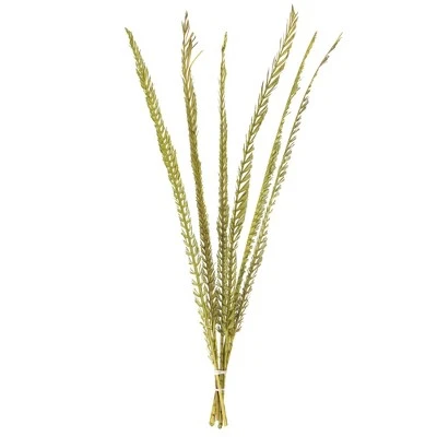 Vickerman Natural Stem, Dried 6 Vickerman Natural Stem, Dried - Image 4