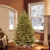 Puleo 6.5' Pre-Lit Canadian Balsam Fir Artificial Christmas Tree Warm White Lights -Outlet Xmas Decor Tree Store GUEST 7398926d 149c 49f0 9194 c87a7238c0c0