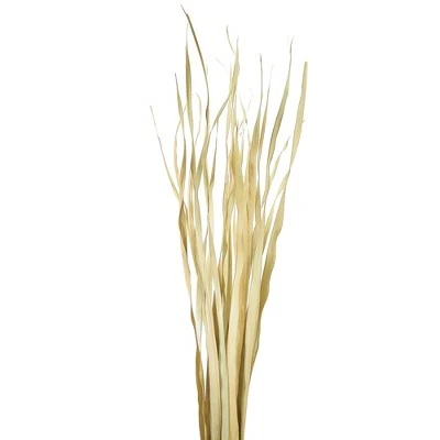 Vickerman Rush Grass, Dried 7oz 3 Vickerman Rush Grass, Dried 7oz