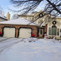 Northlight 9' x 14" Unlit Colorado Spruce Artificial Christmas Garland 9 Northlight 9' x 14" Unlit Colorado Spruce Artificial Christmas Garland -Outlet Xmas Decor Tree Store GUEST 760c5fae ef00 4ec6 b992 cb887d265ef1