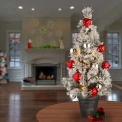 National Tree Company 24" Pre-Lit Snowy Bristle Pine Artificial Christmas Tree with 35 Battery Operated LED Lights