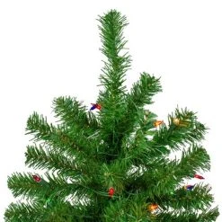 Northlight 7' Pre-Lit Norfolk Spruce Artificial Christmas Tree, Multi Lights -Outlet Xmas Decor Tree Store GUEST 7910a101 0166 4d4b b5ec 4103440d5a53