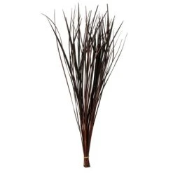 Vickerman 28" Splinter Grass, 11oz Dried -Outlet Xmas Decor Tree Store GUEST 7954125b c6f3 4bb6 b08c 08a3cd38599c