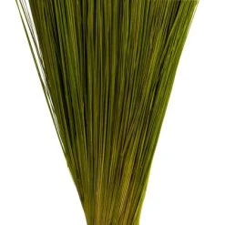 Vickerman Bright Grass, Dried -Outlet Xmas Decor Tree Store GUEST 7a5ccd48 4f34 4555 9456 b51be5ed3756