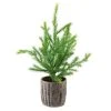 Northlight 1' Unlit Artificial Christmas Tree Pine In Faux Wooden Pot -Outlet Xmas Decor Tree Store GUEST 7b453d31 1567 4960 a1a2 8c005160abba