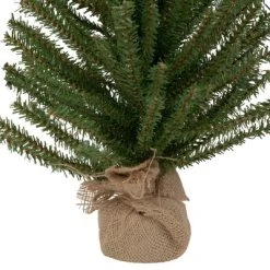 Northlight 18" Traditional Scottsdale Mini Pine Artificial Christmas Tree with Burlap, Unlit -Outlet Xmas Decor Tree Store GUEST 7b93a201 fdf3 4a1a bb4c b442523fac87 1