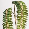 Vickerman Green Fern Glitter Aritificial Christmas Spray 2 Vickerman Green Fern Glitter Aritificial Christmas Spray -Outlet Xmas Decor Tree Store GUEST 7daeacc2 75ad 4c14 8d8c 75e1282d8b0d