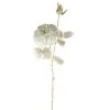 Northlight 26.5" White/Metallic Gold Rose Artificial Spring Stem -Outlet Xmas Decor Tree Store GUEST 7f2b1f14 8f45 4efe 9ba8 504a0e34b508