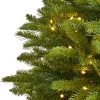 Nearly Natural Pre-Lit LED Sierra Spruce Artificial Christmas Tree Clear Lights 1 Nearly Natural Pre-Lit LED Sierra Spruce Artificial Christmas Tree Clear Lights -Outlet Xmas Decor Tree Store GUEST 805ee06f c1d7 4562 a1f4 3a3d1f178604