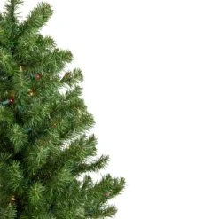 Northlight 5' Prelit Artificial Christmas Tree Medium Canadian Pine - Multicolor Lights 9 Northlight 5' Prelit Artificial Christmas Tree Medium Canadian Pine - Multicolor Lights -Outlet Xmas Decor Tree Store GUEST 8074b352 4b75 4723 9243 1d5a6c5c99f8