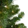 Northlight 2' Pre-Lit Medium Canadian Pine Artificial Christmas Tree - Clear Lights 2 Northlight 2' Pre-Lit Medium Canadian Pine Artificial Christmas Tree - Clear Lights -Outlet Xmas Decor Tree Store GUEST 818194bb c8d0 494e 89b4 336a70d619f3