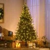 HOMCOM 6ft Prelit Artificial Christmas Tree Holiday Decoration with Warm Yellow Clear Lights, Auto Open, Wide Shape, Extra Bulb -Outlet Xmas Decor Tree Store GUEST 85765d76 c6ed 400d a56a 36b037c656c2