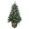 Northlight 4' Pre-Lit Frosted Mixed Berry Pine Artificial Christmas Tree in Pot - Clear Lights
