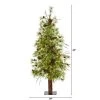 4ft Nearly Natural Pre-Lit LED Wyoming Alpine with Pinecones Artificial Christmas Tree Clear Lights -Outlet Xmas Decor Tree Store GUEST 8820e10e 61f1 4808 9031 7685a32d1f62