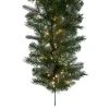 Vickerman Artificial Douglas Fir Collection -Outlet Xmas Decor Tree Store GUEST 8925496e 1ff6 4a35 be84 af1d1630a396