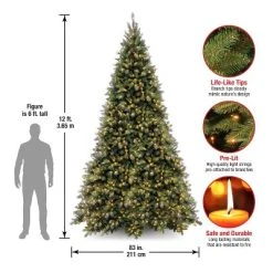 National Tree Company 12 ft Pre-Lit Artificial Giant Medium Christmas Tree, Green, Tiffany Fir, White Lights, Includes Stand -Outlet Xmas Decor Tree Store GUEST 8ba9c7c1 9796 4e67 8fb9 c6e7eaf9db94