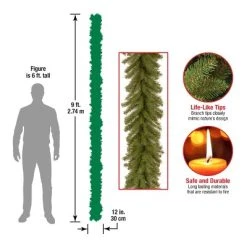 National Tree Company Artificial Christmas Garland, Green, Norwood Fir, Christmas Collection, 9 Feet 8 National Tree Company Artificial Christmas Garland, Green, Norwood Fir, Christmas Collection, 9 Feet -Outlet Xmas Decor Tree Store GUEST 8c30ae60 e817 4861 8cfd 8458c8bbfb2f