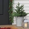 20" Pre-lit LED Battery Operated Mixed Pine Christmas Artificial Pot Filler Warm White Lights - Wondershop™ -Outlet Xmas Decor Tree Store GUEST 8dc5022d d693 44e3 bc72 c2ca704d3d97