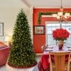 6.5ft Pre-lit Slim Jersey Fraser Fir Artificial Christmas Tree Clear Lights - National Tree Company -Outlet Xmas Decor Tree Store GUEST 91bc3f63 e802 4cca b7b3 5e538e6c4287