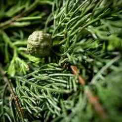 6'L Sullivans Lush Cypress & Berry Garland, Green Christmas Garland