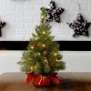 National Tree Company 2ft National Christmas Tree Company Majestic Fir Artificial Christmas Tree 35ct Clear -Outlet Xmas Decor Tree Store GUEST 9702ae22 fe41 414b b674 c5933cc03a7b