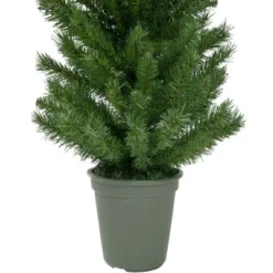 Northlight 4' Potted Virginia Pine Walkway Slim Artificial Christmas Tree - Unlit -Outlet Xmas Decor Tree Store GUEST 975bc0b7 5b18 4dd1 9808 136bc2d036eb