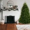 National Tree Company 6.5' Pre-Lit Dunhill Blue Fir Hinged Artificial Christmas Tree with Clear Lights -Outlet Xmas Decor Tree Store GUEST 97ae99ec 9d48 44c3 8e3d 837796560777