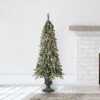 Home Heritage Entryway Potted Pine PVC Pre-Lit Artificial Christmas Tree with Warm White LED Lights and Potted Base