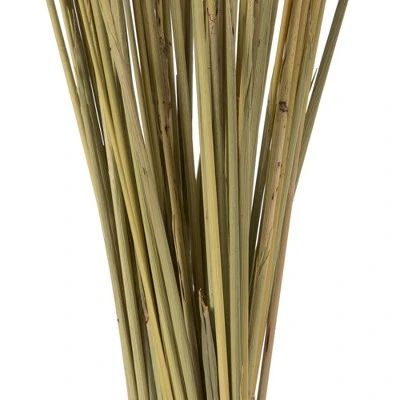 Vickerman 36" Congo Grass Bundle, 8 oz Dried 3 Vickerman 36" Congo Grass Bundle, 8 oz Dried - Image 2
