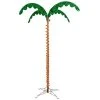 Vickerman Rope Light Palm Tree Palm 1 Vickerman Rope Light Palm Tree Palm -Outlet Xmas Decor Tree Store GUEST 9b0db308 6319 431a b98c 945666b4098e