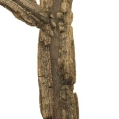 Vickerman Winged Elm Branches, Dried -Outlet Xmas Decor Tree Store GUEST 9bb7f9a6 bd21 4bc0 9cc5 cad72b7077e8