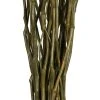 Vickerman 34-40" Moneta Branches, Dried 16oz -Outlet Xmas Decor Tree Store GUEST 9d62a798 3d65 468d a1c3 ba572b46379b