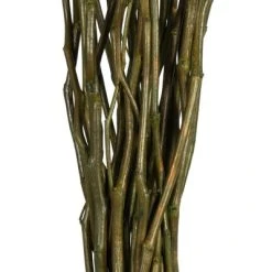 Vickerman 34-40" Moneta Branches, Dried 16oz