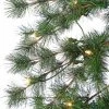 5ft Sterling Tree Company Flocked Alpine Tree Artificial Christmas Tree -Outlet Xmas Decor Tree Store GUEST 9deadf34 58e8 4055 9e5f 09bd56365047