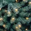 National Tree Company 9ft National Christmas Tree Company Full North Valley Blue Spruce Artificial Christmas Tree Clear -Outlet Xmas Decor Tree Store GUEST 9e8b90fb 8b4f 4996 8c7f 6fb47d56c507