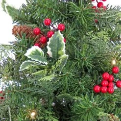 National Tree Company First Traditions 24" Pre-Lit Battery Operated Mixed Tip Holly Berry Table Top Artificial Christmas Tree Clear Lights -Outlet Xmas Decor Tree Store GUEST 9eacd902 fd10 4ef4 a47f afff7a27a10f