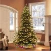 7.5ft Puleo Pre-Lit Full Princess Pine Artificial Christmas Tree Clear Lights -Outlet Xmas Decor Tree Store GUEST 9ef62bc1 caae 4476 837a 1c0c3e8c95fc