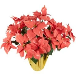 Northlight 28" Dark Pink Artificial Christmas Poinsettia with Gold Wrapped Base -Outlet Xmas Decor Tree Store GUEST 9f6b5da2 2bac 4328 9d09 b151db3e6a0f