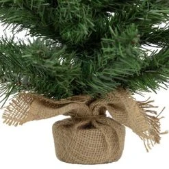 Northlight 18" Potted Mini Pine Medium Artificial Christmas Tree, Unlit -Outlet Xmas Decor Tree Store GUEST a006c83d a42a 4057 bc3c 6c8f9dea2aa6