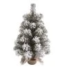 Transpac Artificial 18 in. Multicolor Christmas Snow Colorado Tree with Bagged Stand