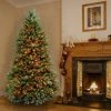 National Tree Company 7 ft Pre-Lit Artificial Full Christmas Tree, Green, Dunhill Fir, Multicolor Lights, Includes Stand -Outlet Xmas Decor Tree Store GUEST a408b53c 1667 4aba 8b6e 45f7a44b5100