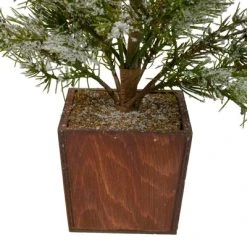 Northlight 28" Potted Frosted Pine Artificial Christmas Tree – Unlit -Outlet Xmas Decor Tree Store GUEST a42122f5 5002 4c3f a399 445e69f042e6