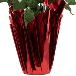 Northlight 26" White Artificial Christmas Poinsettia in Red Wrapped Base 10 Northlight 26" White Artificial Christmas Poinsettia in Red Wrapped Base -Outlet Xmas Decor Tree Store GUEST a5ffe649 2329 412d b16f 13139f8caa12