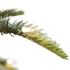 Primo International Puleo International Prelit Artificial Montclair Fir Holiday Tree with Clear Lights, Hinged Branches, & Stand 9 Primo International Puleo International Prelit Artificial Montclair Fir Holiday Tree with Clear Lights, Hinged Branches, & Stand -Outlet Xmas Decor Tree Store GUEST a67e97ea f38f 4d87 b29b 8a1b2fe67937