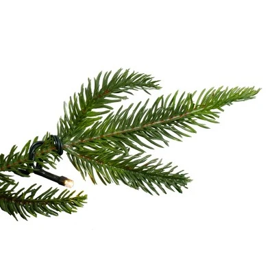 Northlight 6.5' Pre-Lit Roosevelt Fir Artificial Christmas Tree - Clear Lights 4 Northlight 6.5' Pre-Lit Roosevelt Fir Artificial Christmas Tree - Clear Lights - Image 2