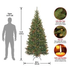 National Tree Company 7.5 ft Pre-Lit Artificial Slim Christmas Tree, Green, Aspen Spruce, Multicolor Lights, Includes Stand -Outlet Xmas Decor Tree Store GUEST a8e29838 73e2 4486 993d 05721eebfe21