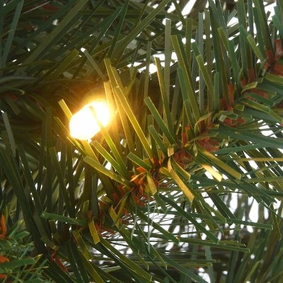 National Tree Company First Traditions 4' Pre-Lit LED Feel Real Scotch Creek Fir Potted Artificial Christmas Tree White Lights 5 National Tree Company First Traditions 4' Pre-Lit LED Feel Real Scotch Creek Fir Potted Artificial Christmas Tree White Lights - Image 3