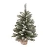 Transpac Artificial 24 in. Multicolor Christmas Frosted Noble Fir Tree 2 Transpac Artificial 24 in. Multicolor Christmas Frosted Noble Fir Tree -Outlet Xmas Decor Tree Store GUEST ab299359 a6d2 416c bd16 458a607f0663