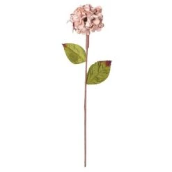 Vickerman 17" Hydrangea Spray 19 Vickerman 17" Hydrangea Spray -Outlet Xmas Decor Tree Store GUEST ac0479d7 7c45 48ba a83e 0773fedcccb3